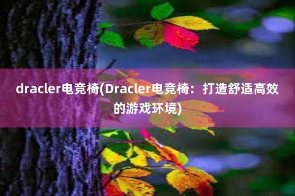 dracler电竞椅(Dracler电竞椅：打造舒适高效的游戏环境)