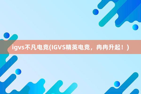 igvs不凡电竞(IGVS精英电竞，冉冉升起！)