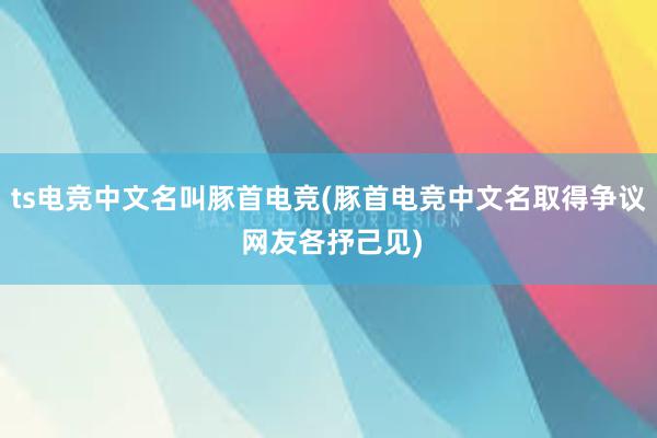 ts电竞中文名叫豚首电竞(豚首电竞中文名取得争议 网友各抒己见)