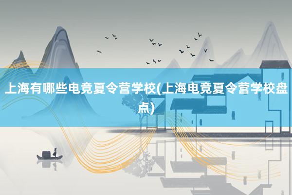 上海有哪些电竞夏令营学校(上海电竞夏令营学校盘点)