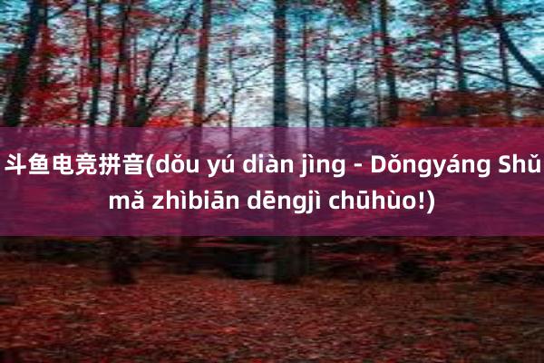 斗鱼电竞拼音(dǒu yú diàn jìng - Dǒngyáng Shǔmǎ zhìbiān dēngjì chūhùo!)