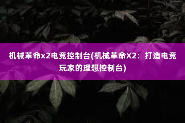 机械革命x2电竞控制台(机械革命X2：打造电竞玩家的理想控制台)