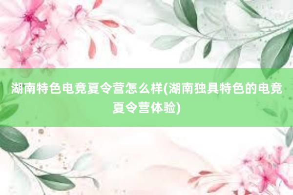 湖南特色电竞夏令营怎么样(湖南独具特色的电竞夏令营体验)