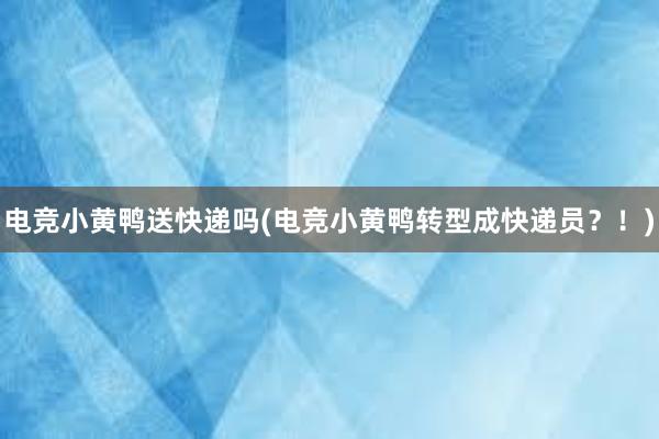 电竞小黄鸭送快递吗(电竞小黄鸭转型成快递员？！)