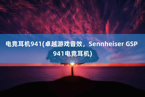 电竞耳机941(卓越游戏音效，Sennheiser GSP 941电竞耳机)