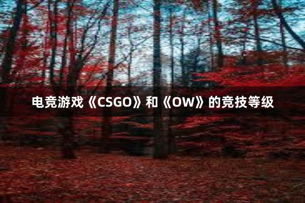 电竞游戏《CSGO》和《OW》的竞技等级