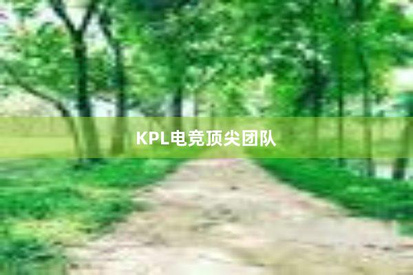 KPL电竞顶尖团队