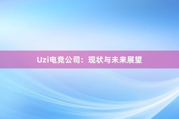 Uzi电竞公司：现状与未来展望