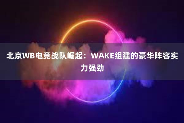 北京WB电竞战队崛起：WAKE组建的豪华阵容实力强劲