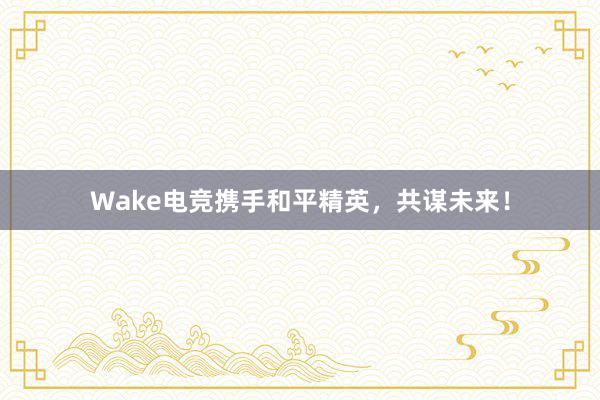 Wake电竞携手和平精英，共谋未来！