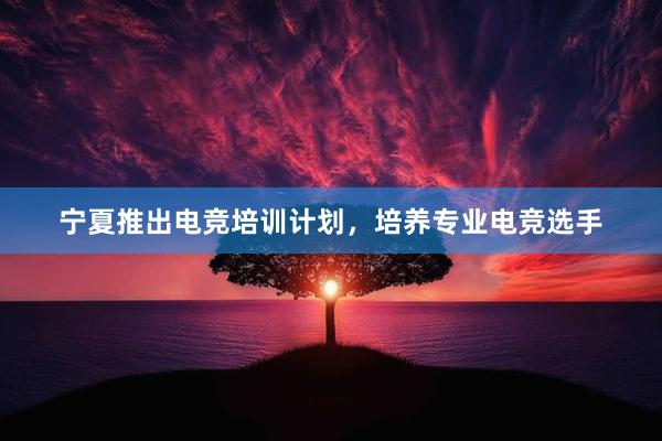 宁夏推出电竞培训计划，培养专业电竞选手