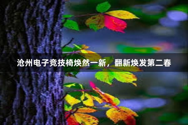 沧州电子竞技椅焕然一新，翻新焕发第二春