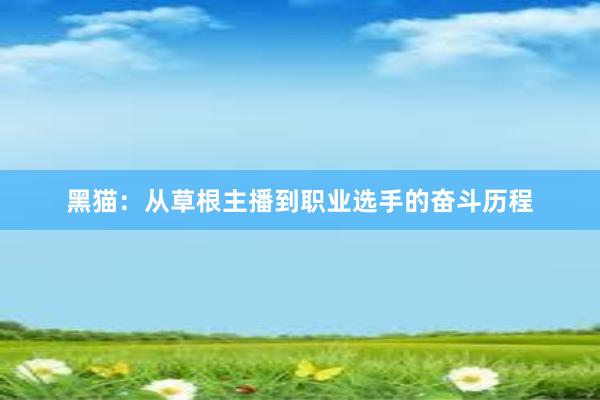 黑猫：从草根主播到职业选手的奋斗历程